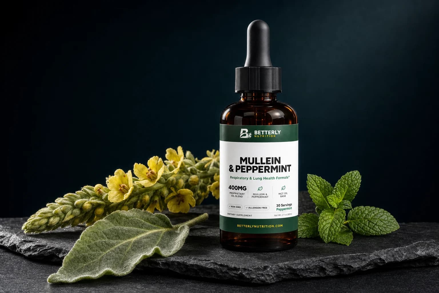 Mullein & Peppermint Oil Drops amber dropper bottle on dark slate beside a yellow-flowered mullein spike, a felted leaf and fresh mint