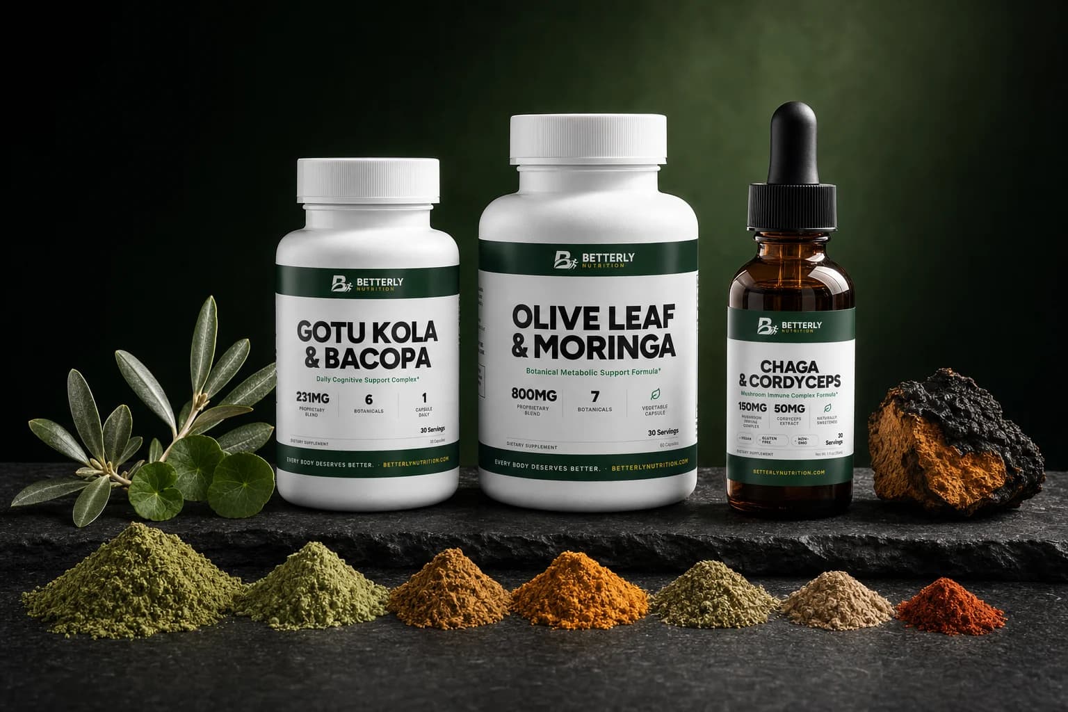 Gotu Kola, Olive Leaf and Chaga & Cordyceps bottles on a dark basalt ledge above seven mounds of herb powder, beside a chaga chunk