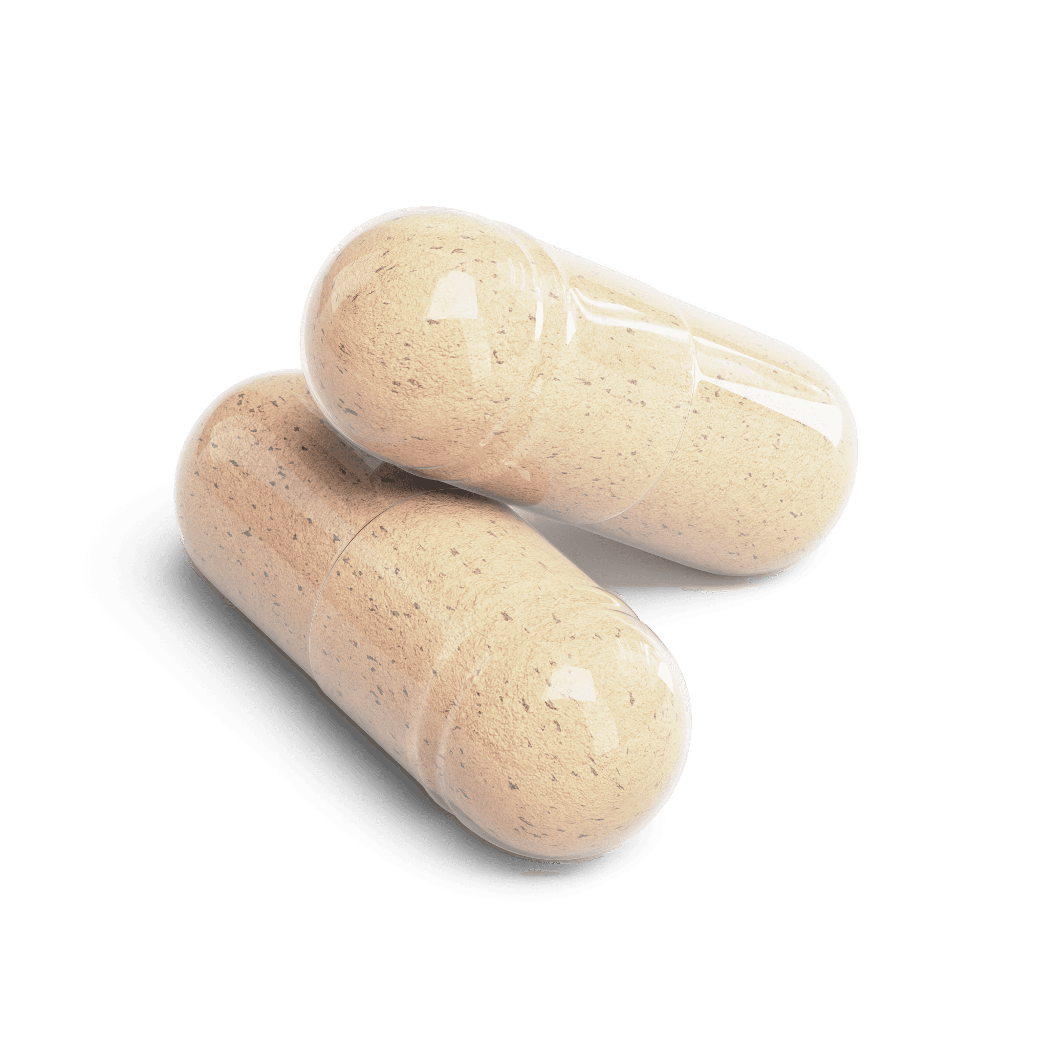 Ox Bile & Artichoke Capsules, close-up of the contents
