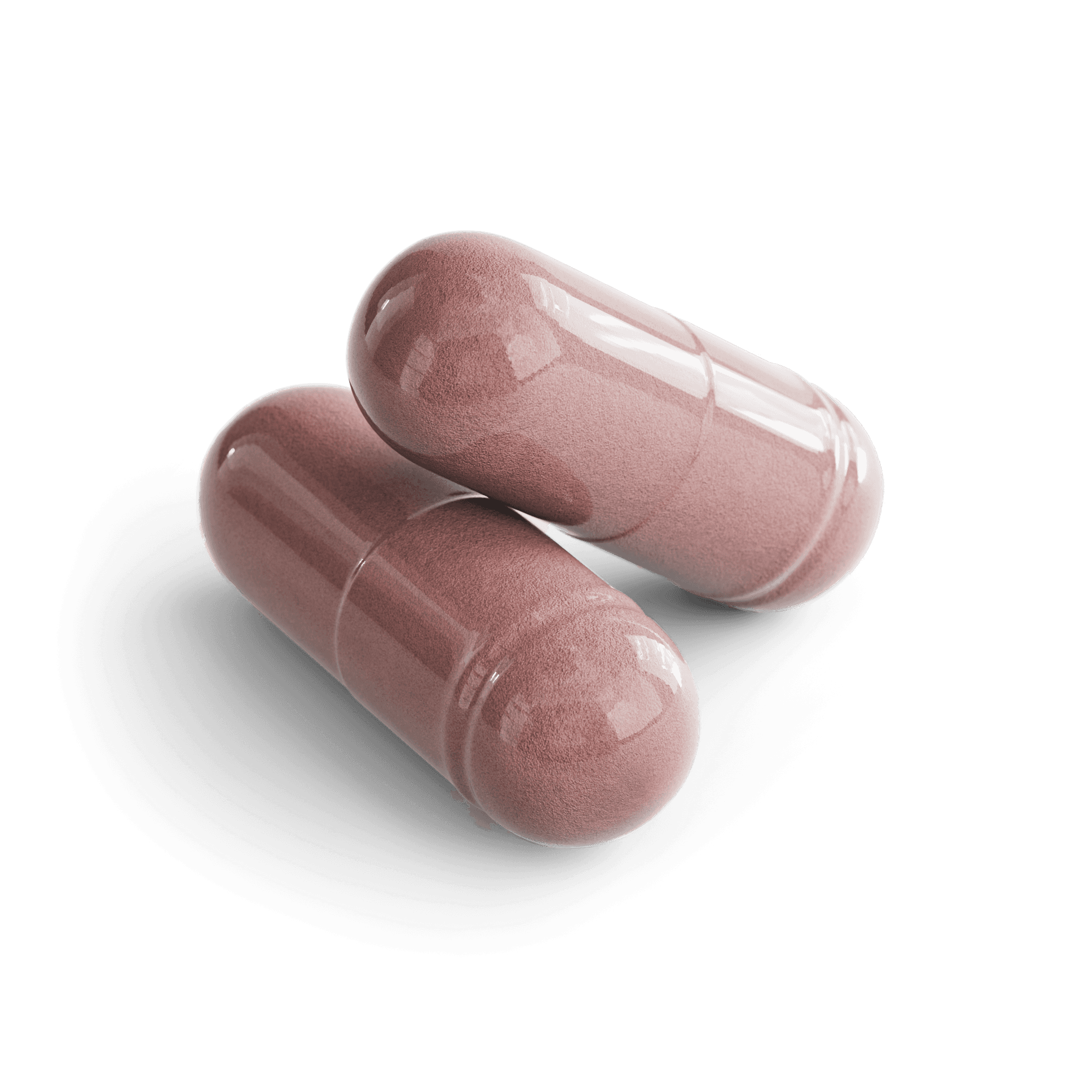 Elderberry, Echinacea & Zinc Capsules, close-up of the contents
