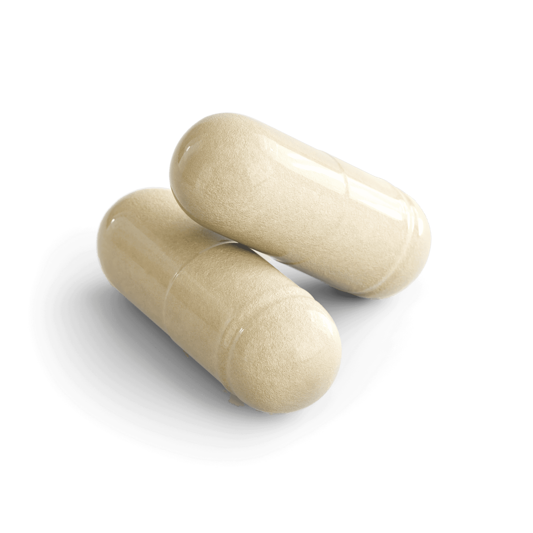 Apple Cider Vinegar & Probiotic Capsules, close-up of the contents