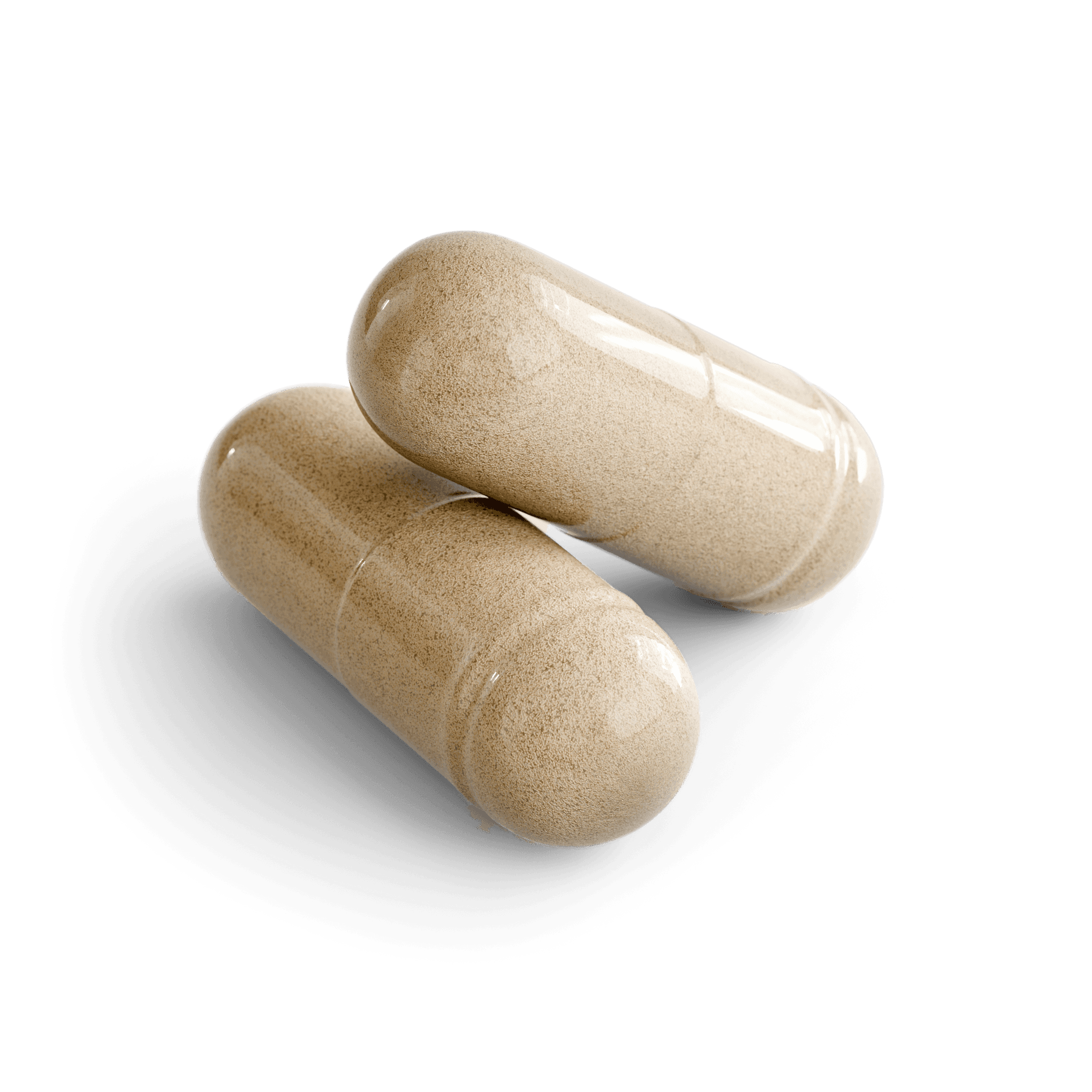 Valerian & Chamomile Sleep Capsules, close-up of the contents