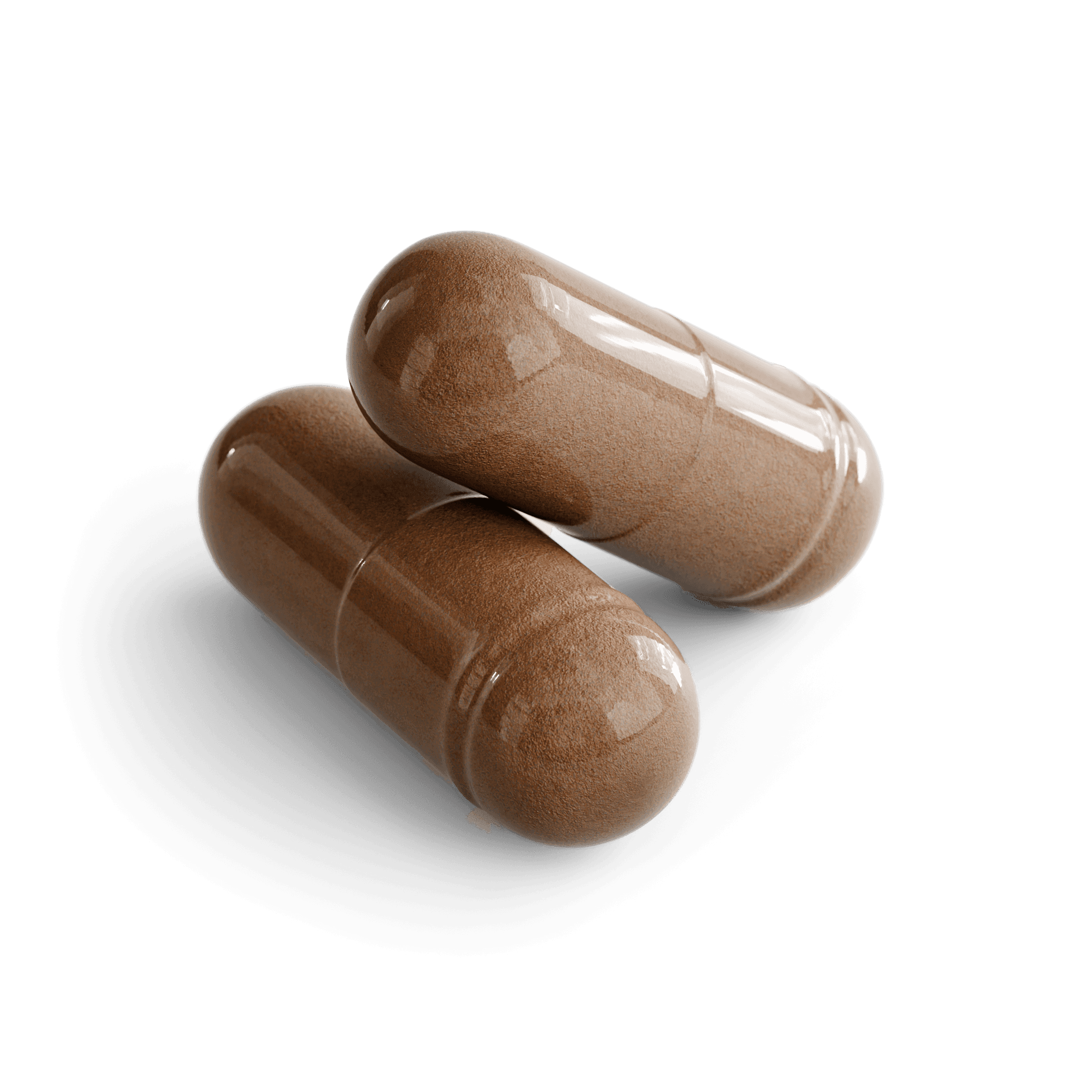 Saw Palmetto & Pygeum Prostate Capsules, close-up of the contents