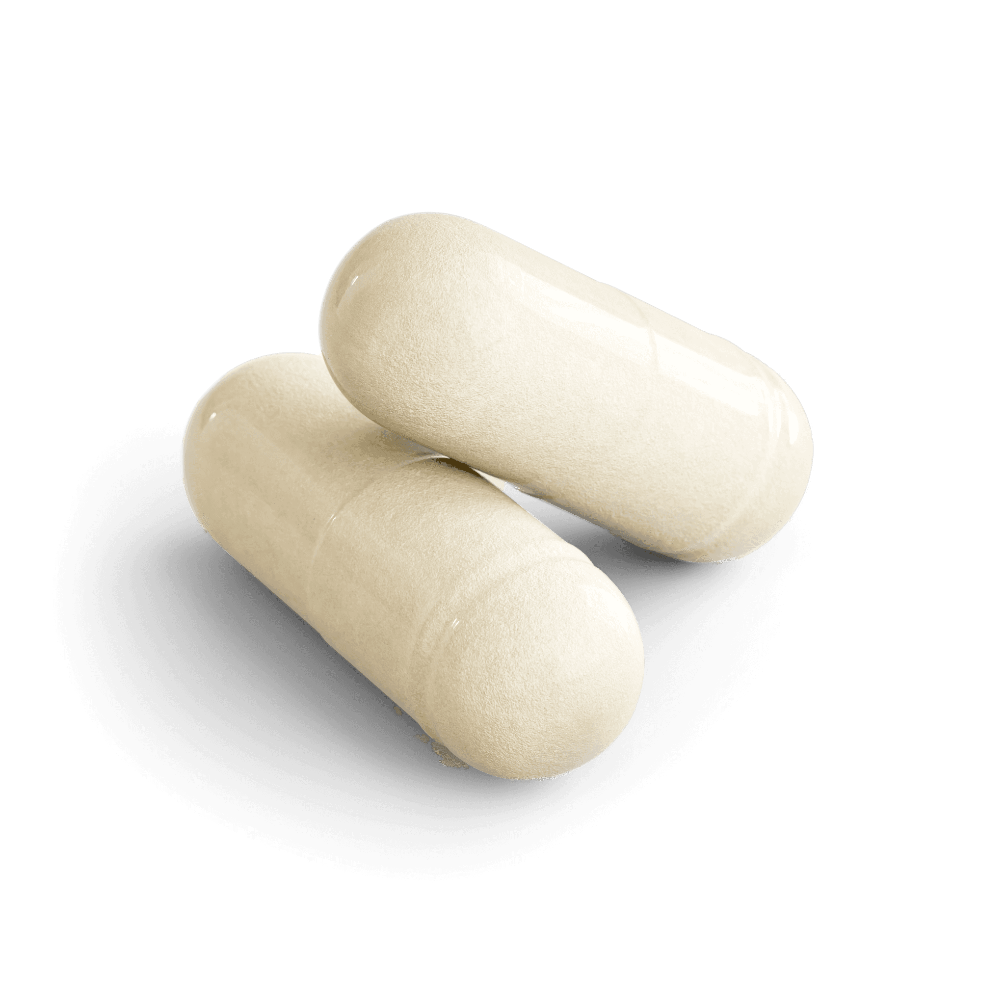 Multi-Strain Probiotic Capsules, close-up of the contents