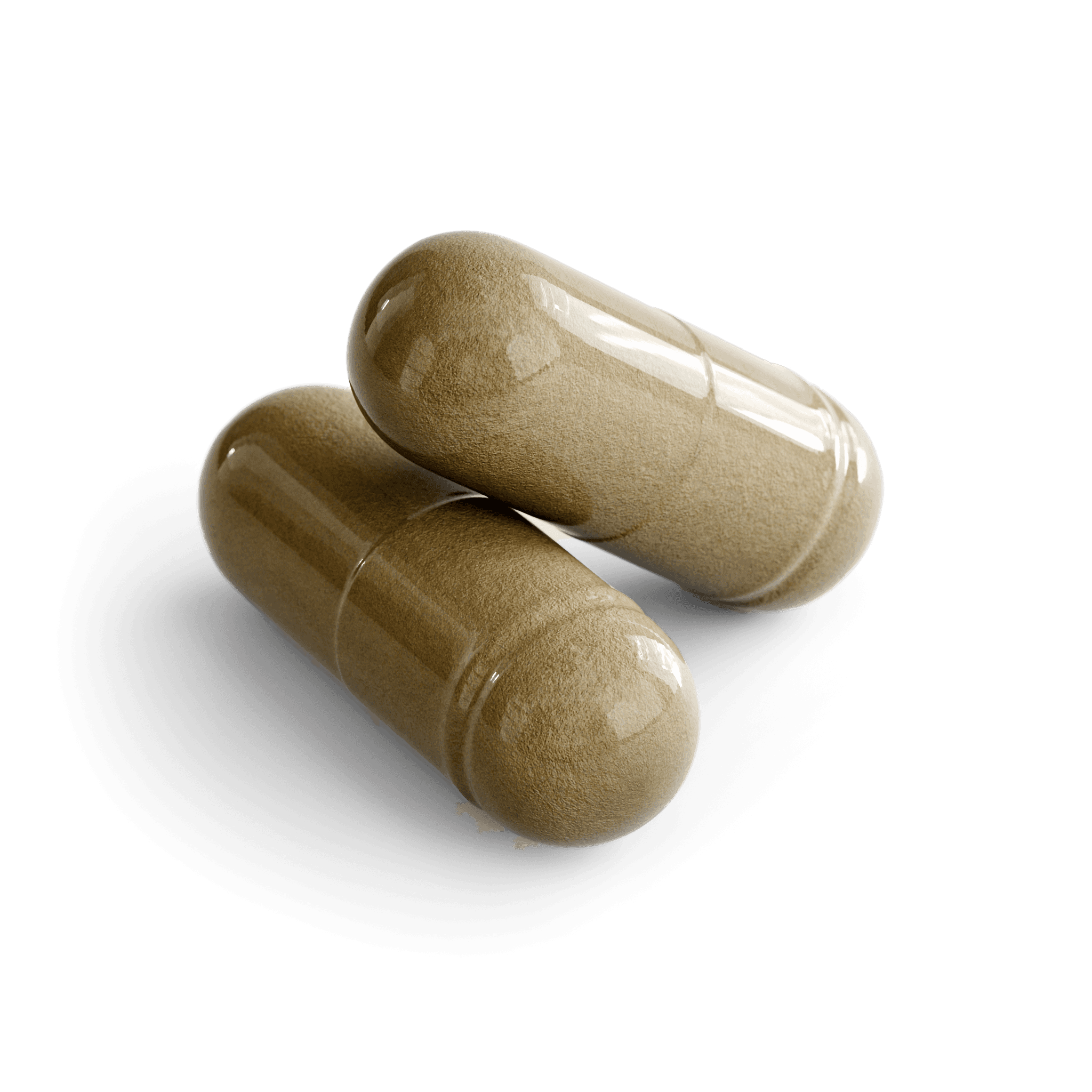 Ginkgo Biloba & Ginseng Capsules, close-up of the contents