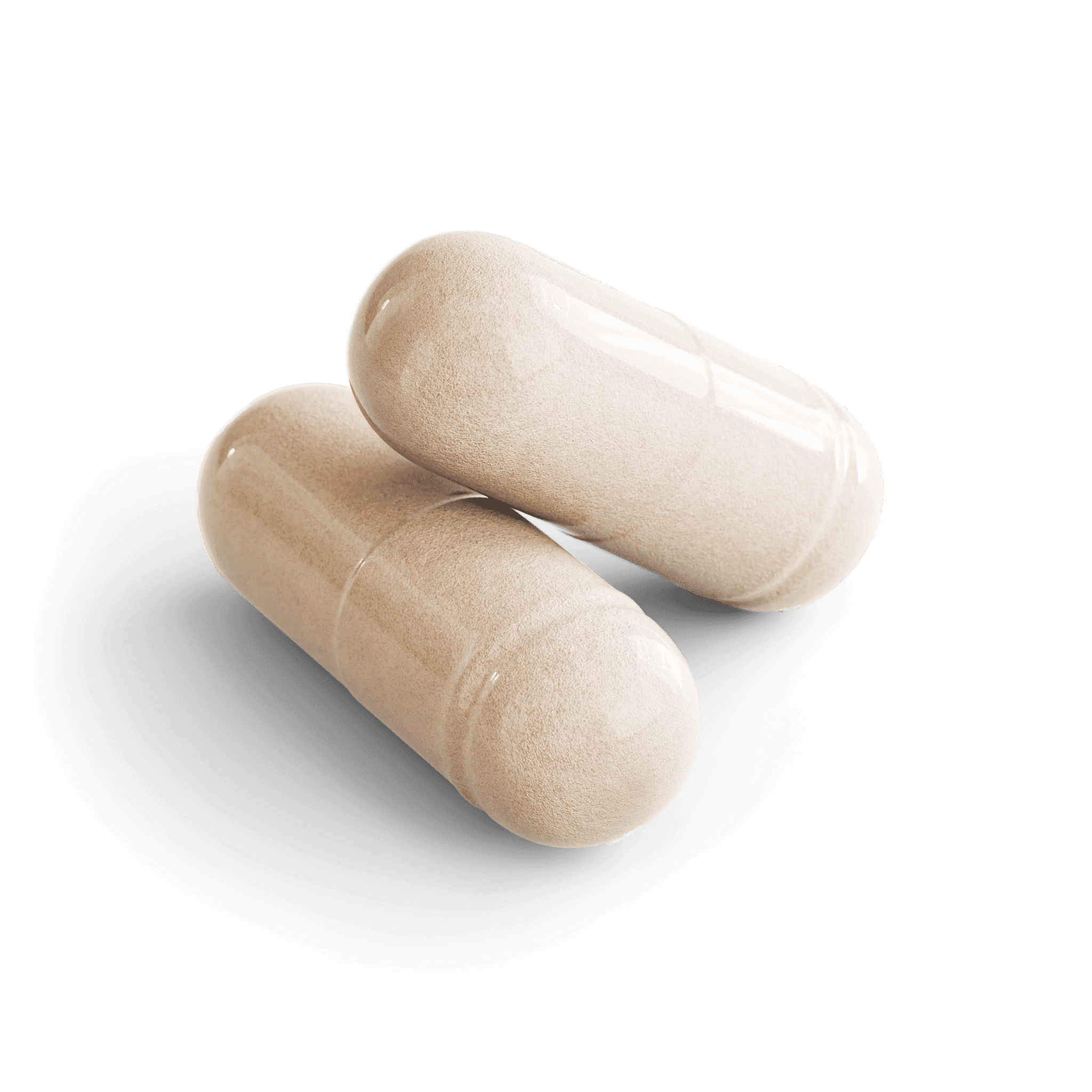 Magnesium, Zinc & Probiotic Capsules, close-up of the contents