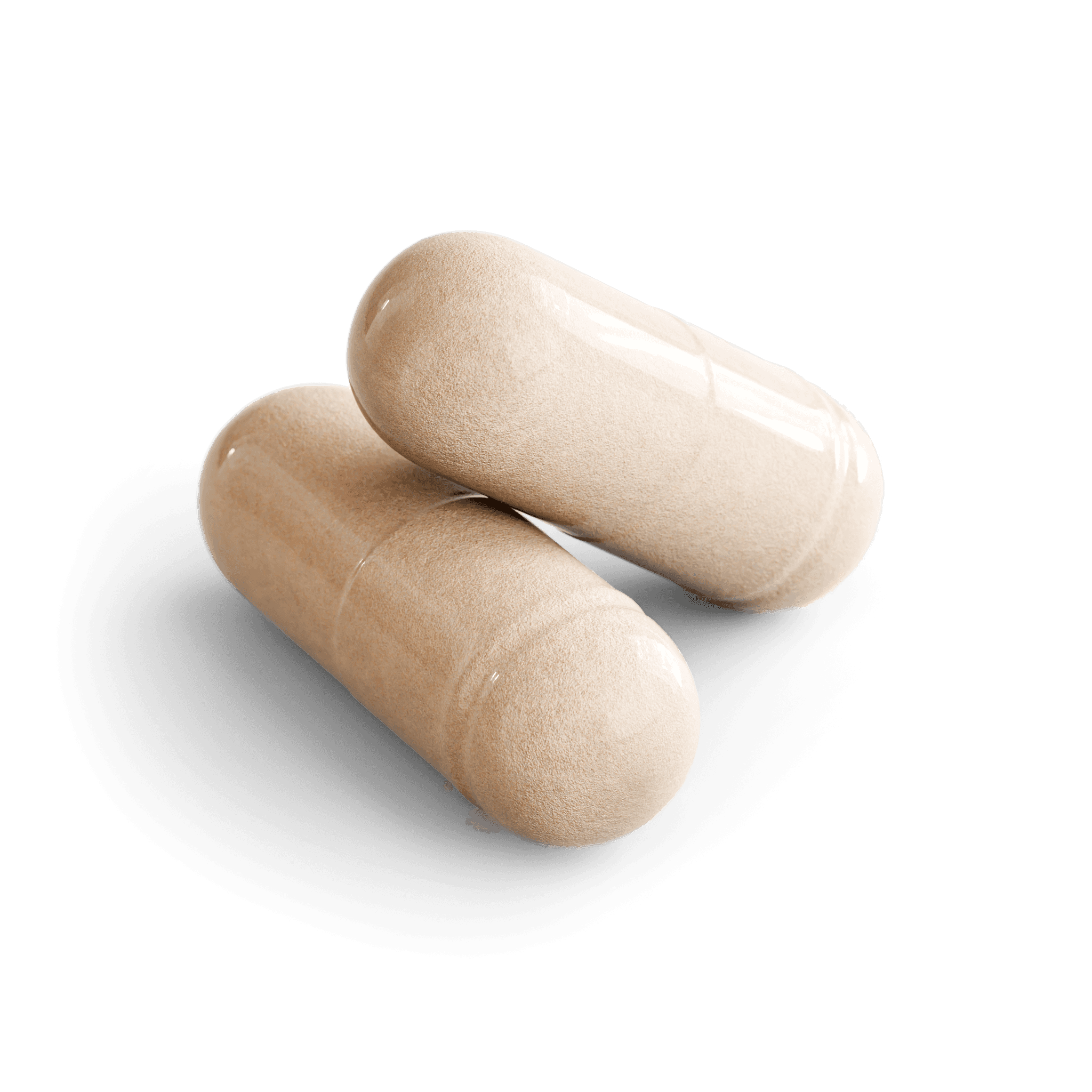 Organic Ashwagandha Root Capsules, close-up of the contents