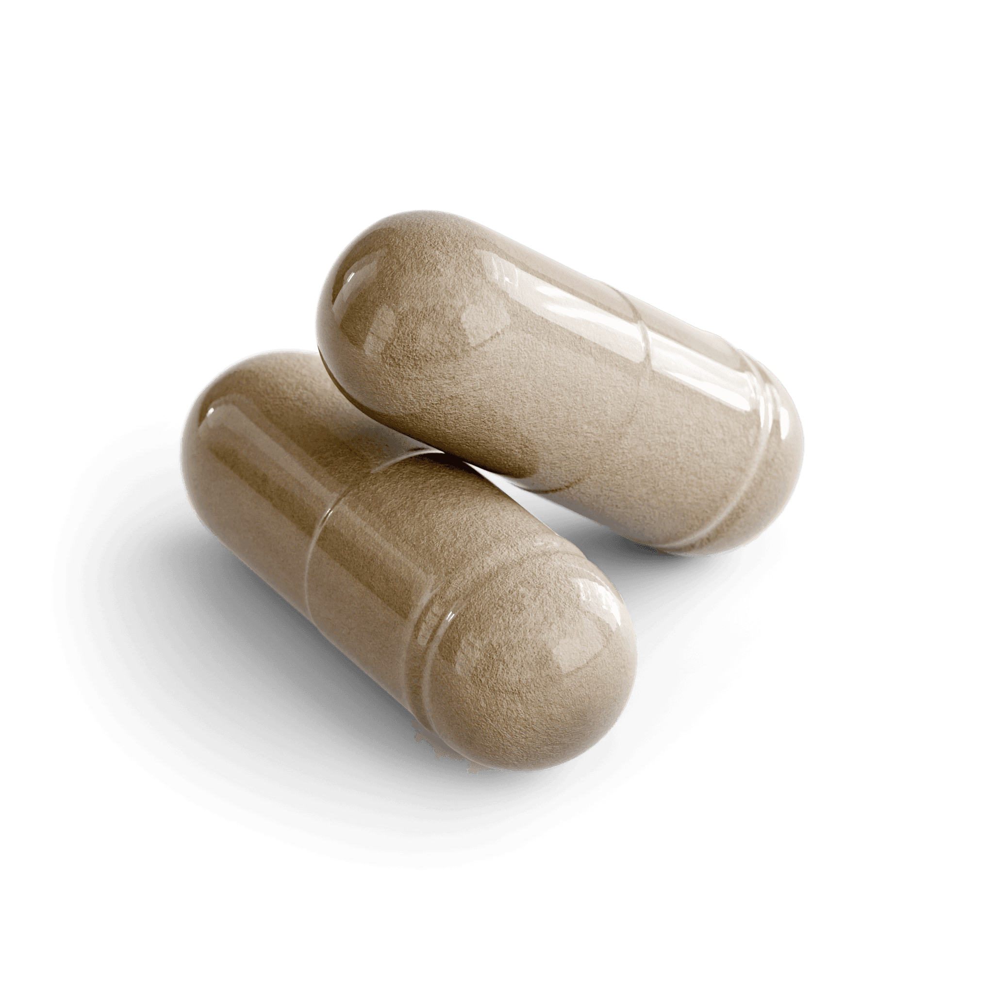 Chromium, Gymnema & Cinnamon Capsules, close-up of the contents