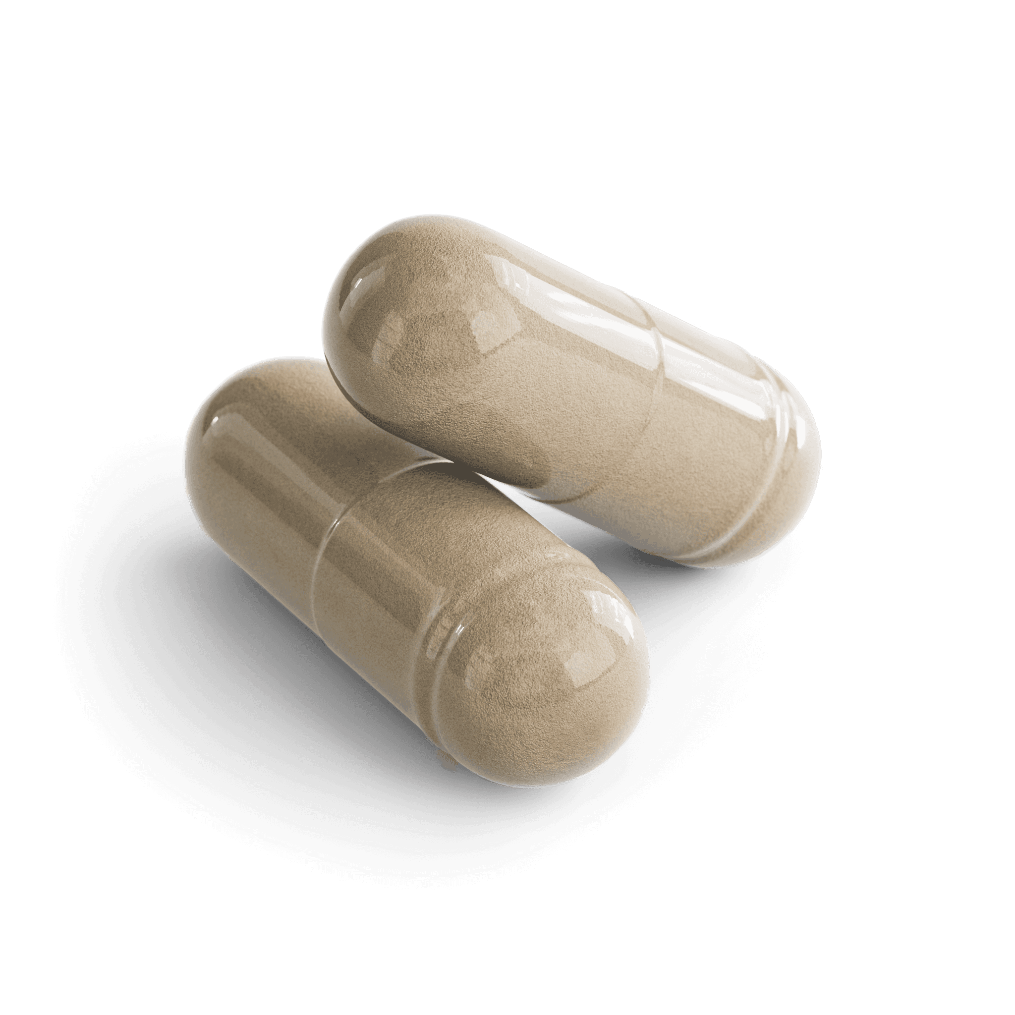 Olive Leaf, Moringa & Holy Basil Capsules, close-up of the contents