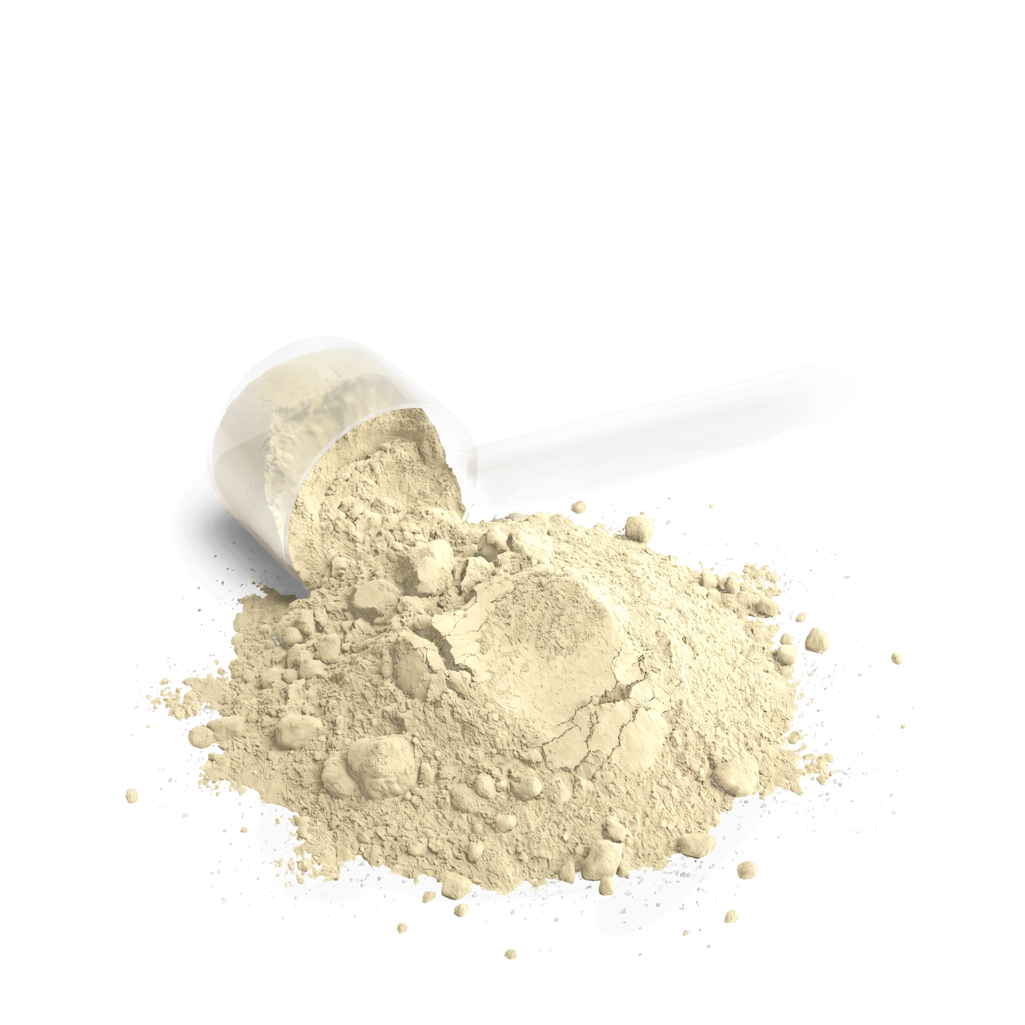 Whey Isolate & Concentrate Blend Powder — Vanilla, close-up of the contents